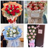 沈阳辽中区康平法库县新民市同城鲜花店三八玫瑰送闺蜜女朋友老婆