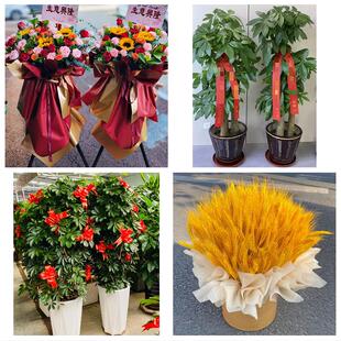 送长沙市长沙县宁乡县浏阳市同城鲜花店新店开业花篮公司乔迁开张