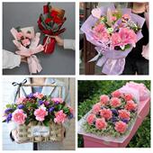 送商洛市山阳县镇安县柞水县同城鲜花店38女王节康乃馨送妈妈婆婆