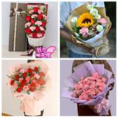 送衢州市开化县龙游县江山市同城鲜花店38女王节康乃馨送妈妈婆婆