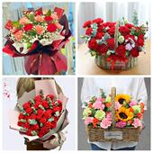 上海市金山区廊下金山卫漕泾同城鲜花店38女王节康乃馨送妈妈婆婆