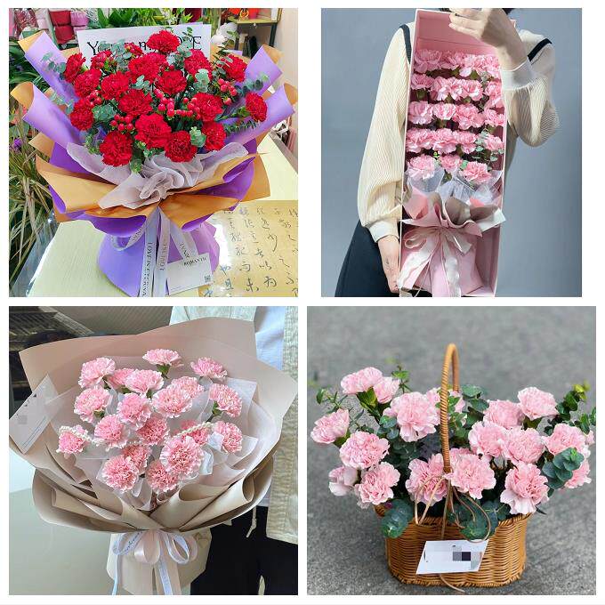 海口市秀英龙华琼山区美兰区同城鲜花店康乃馨花束送长辈父母生日