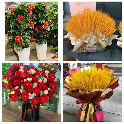 广州市荔湾越秀海珠区天河区同城鲜花店新店开业花篮公司乔迁开张