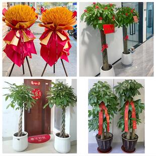 北京市东城东花龙潭体育馆路同城鲜花店新店开业花篮公司乔迁开张