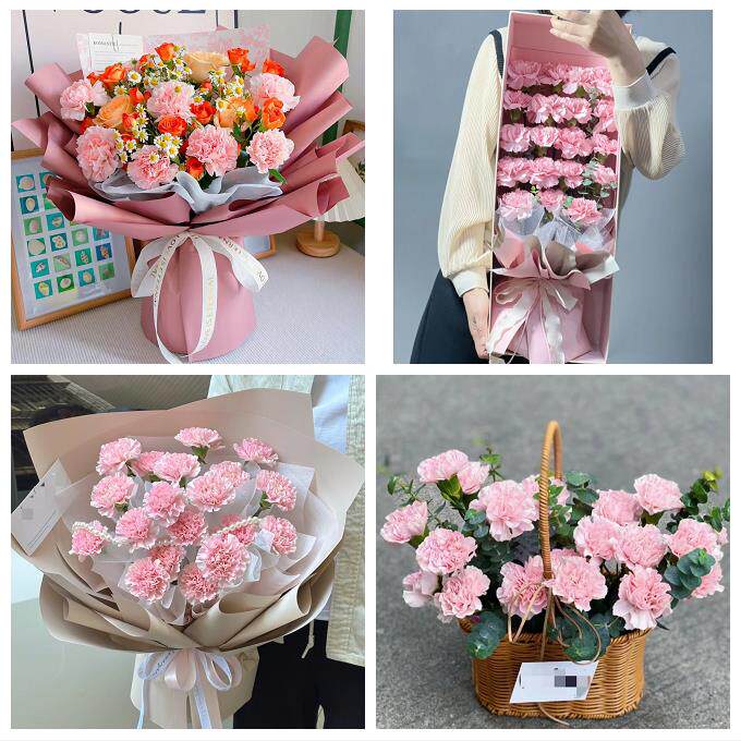 北京市房山区东风迎风星城街同城鲜花店康乃馨花束送长辈父母生日