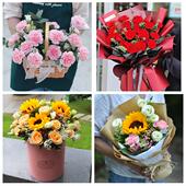 九江市濂溪浔阳区九江武宁县同城鲜花店38女王节康乃馨送妈妈婆婆