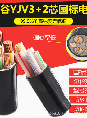 阳谷绿灯行动力电缆电缆国标纯铜