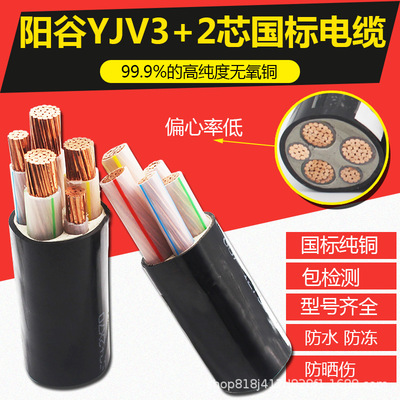 阳谷绿灯行动力电缆电缆国标纯铜