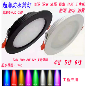 LED防水筒灯户外广告淋雨泳池