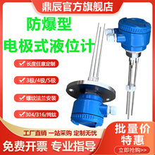 防爆电极式液位计G1.5寸水位开关控制器不锈钢探针DN50液位传感器