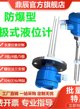 防爆电极式液位计G1.5寸水位开关