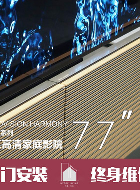 B＆O Bang＆Olufsen BeoVision Harmony OLED 家庭影院77寸电视