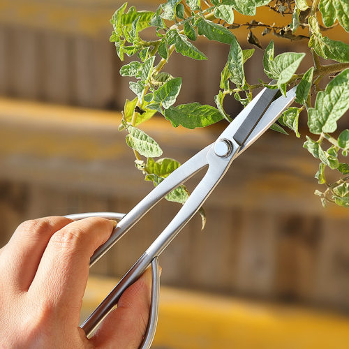 全钢一体园艺修枝剪花艺专用