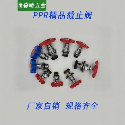 升降式铜加厚PPR精品阀芯