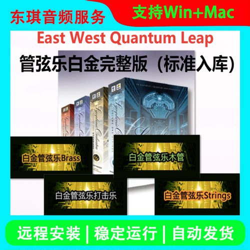 白金管弦乐套装经典弦乐音色