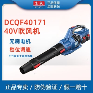 东成充电式无刷锂电吹风机工业鼓风机吹雪机东城除尘器DCQF40171