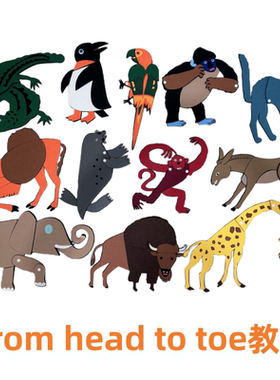 from head to toe从头到脚绘本毛毡布故事教具