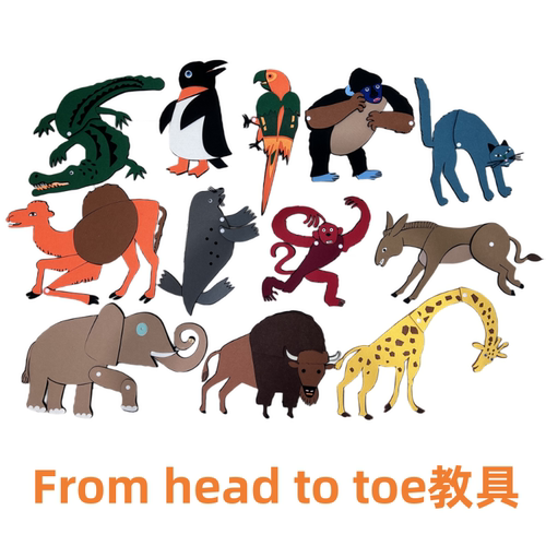 from head to toe从头到脚绘本毛毡布故事教具