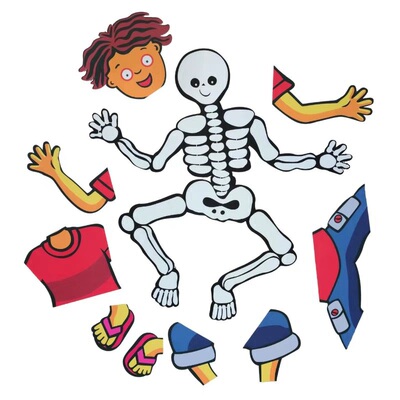 身体部位绘本dry bones毛毡布教具