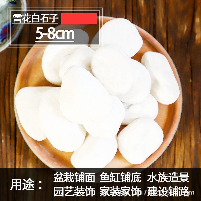 小白石子庭院造景鱼缸鹅卵石原石天然颗粒养花多肉盆栽装饰铺面石