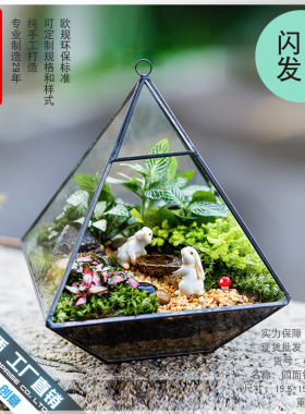 永生花玻璃罩礼盒家居器皿摆件玻璃花房苔藓微景观生态缸透明花盆