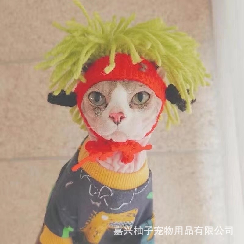 朋克风猫咪搞怪帽子无毛猫斯芬克斯猫头套狗狗搞笑摇滚装饰变装帽