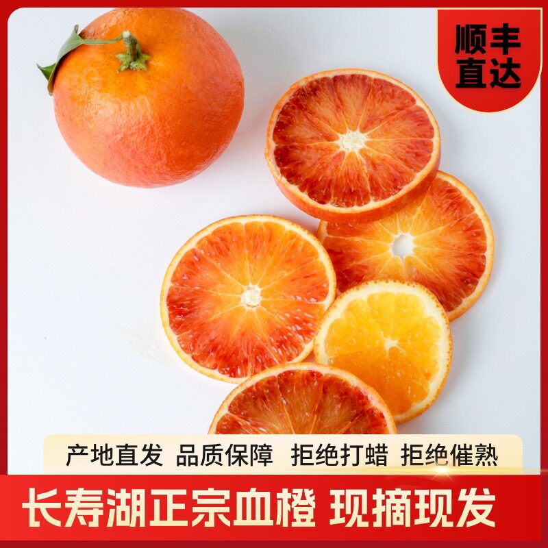 正宗重庆长寿湖塔罗科血脐橙当季新鲜现摘孕妇宝宝现水果产地直发