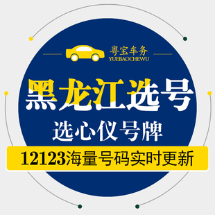 黑龙江哈尔滨齐齐哈尔汽油新能源汽车辆自编自选汽车牌选号