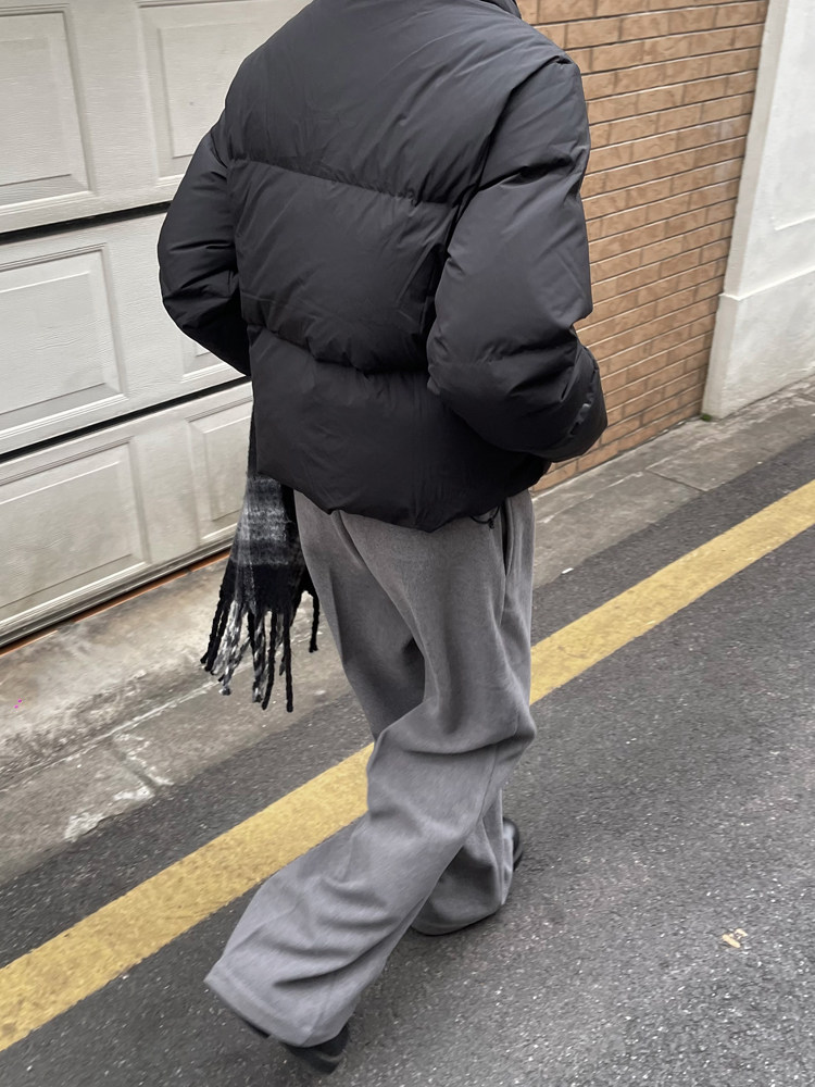 TAICHIISM 화이트 덕 다운 스탠드 칼라 다운 재킷 짧은 와이드 박시 재킷 남성용 두꺼운 따뜻한 클린핏 재킷