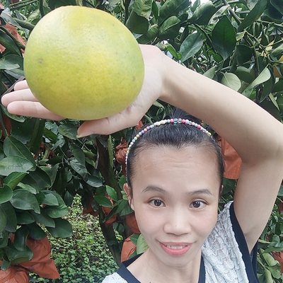 葡萄柚超甜青皮爆汁新鲜水果迈润