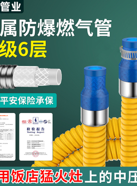 升级加厚铠装燃气管煤气管液化气灶热水器猛火炉中压防爆金属软管