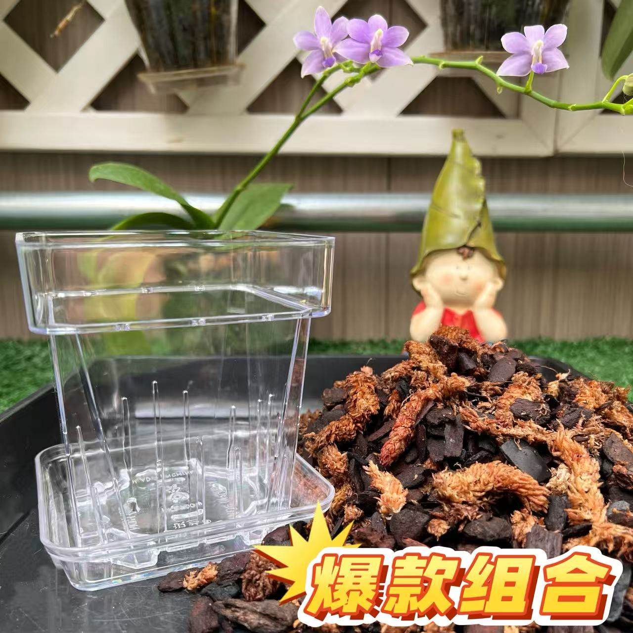 蝴蝶兰专用盆加土组合装透明方形花盆托盘固定毛毛虫水苔混合树皮
