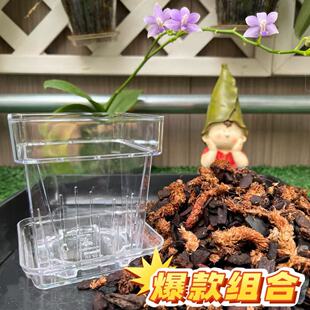 蝴蝶兰专用盆加土组合装 透明方形花盆托盘固定毛毛虫水苔混合树皮