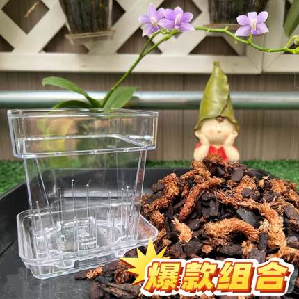 蝴蝶兰专用盆加土组合装透明方形花盆托盘固定毛毛虫水苔混合树皮