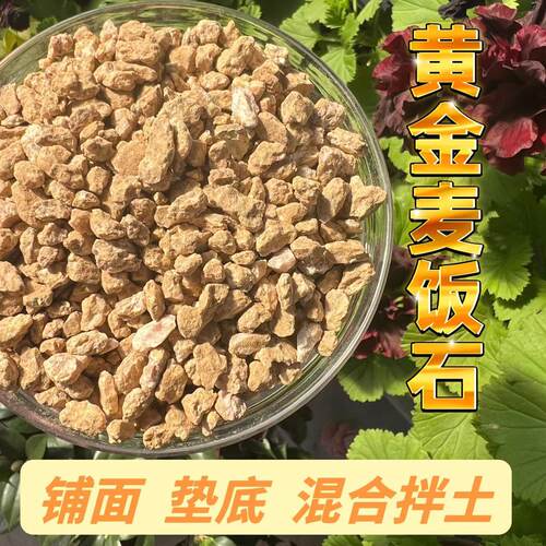 蝴蝶兰洋兰多肉铺面垫底麦饭石