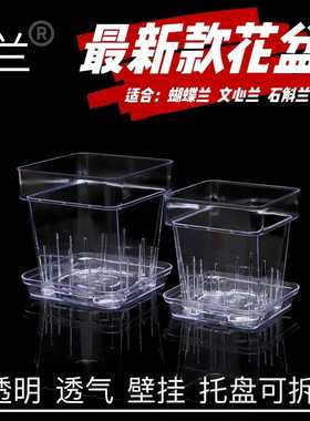 识兰新款蝴蝶兰专用桌面观根简约方形塑料花盆透明透气壁挂带侧孔
