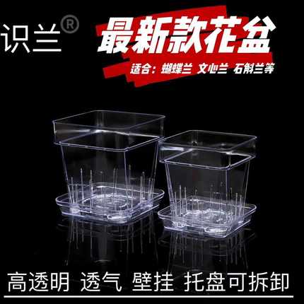 识兰新款蝴蝶兰专用桌面观根简约方形塑料花盆透明透气壁挂带侧孔