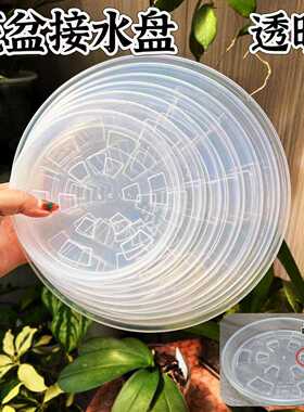 透明白色红色花盆托盘加深塑料加厚底托底盘多肉绿萝圆形接水盘