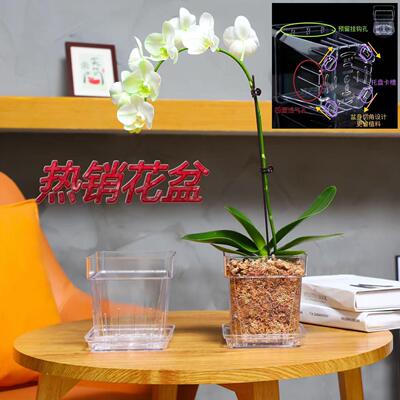 新款高透明塑料方形壁挂花盆