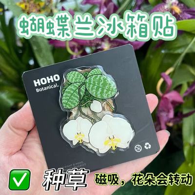 磁吸蝴蝶兰造型冰箱贴