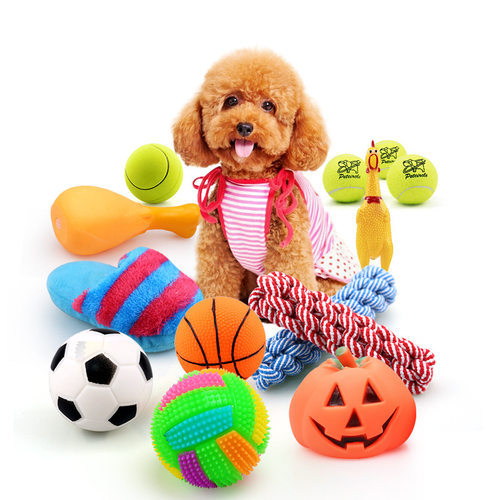 小型犬幼犬惨叫鸡卡通玩具