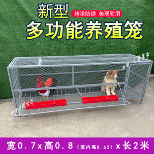 鸡笼子家用室外特大号防黄鼠狼密网防雨农村鸡笼子自动清粪养殖笼