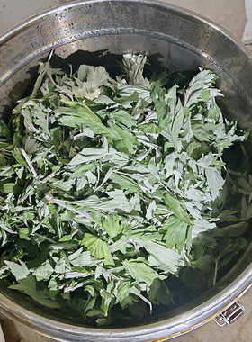 新疆伊犁产薄荷艾草马齿苋纯露