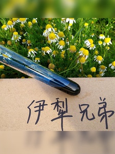 赖希德国洋甘菊精油 罗马洋甘菊精油芳香疗法DIY配方好精油