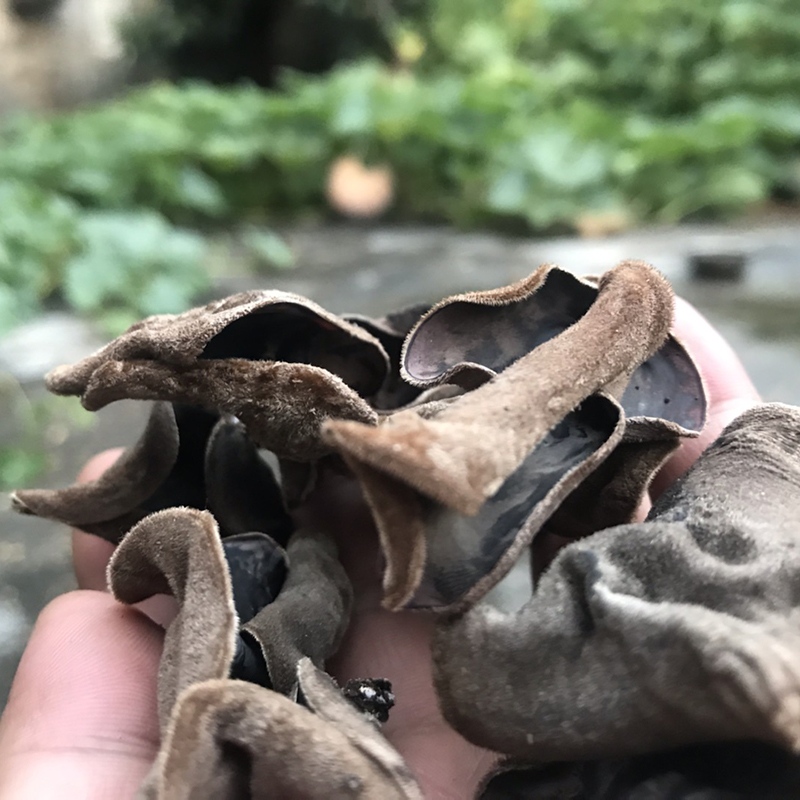 正宗湖南特产农家大木耳干货250g