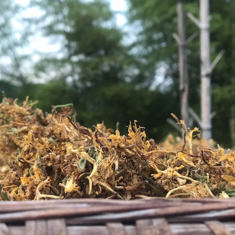 湖南炎陵野生金银花茶散装100g金银花藤干泡澡婴儿中药材忍冬藤爬,传统滋补营养品,金银花,淘宝优惠券,粉丝福利购,淘宝优惠卷