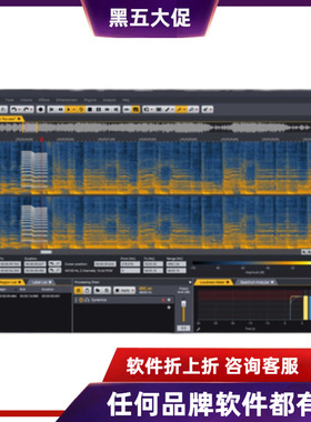 Acon Acoustica Standard 7数字音频编辑器 Standard 7混响插件