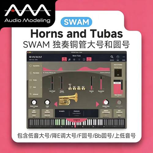 正版SWAM独奏铜管圆号音源