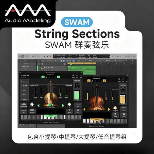 正版SWAM弦乐建模音源