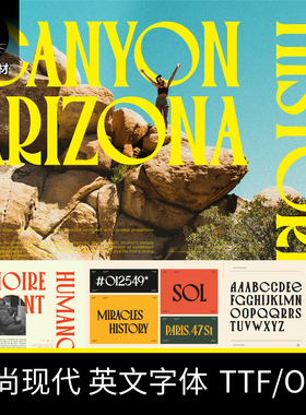 时尚高级感英文衬线字体包下载婚礼杂志海报艺术字库ps/procreate